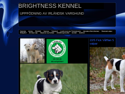 www.brightnesskennel.se
